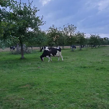Casa de hóspedes La Ferme Chevalier Équemauville