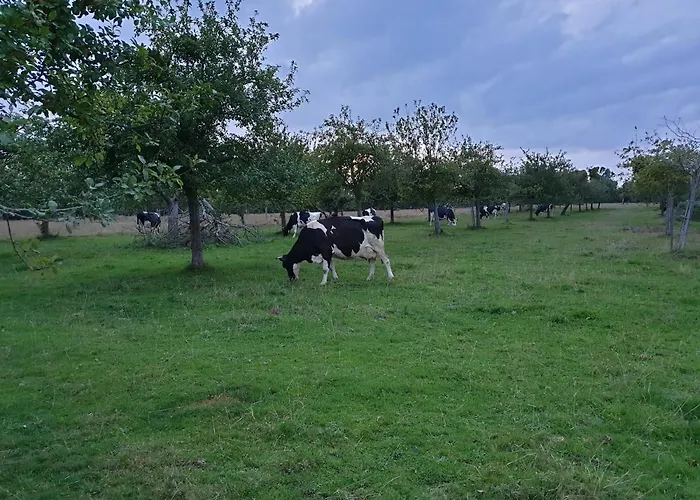 Casa de hóspedes La Ferme Chevalier Équemauville